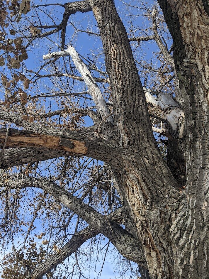 pxl 20201027 213425594