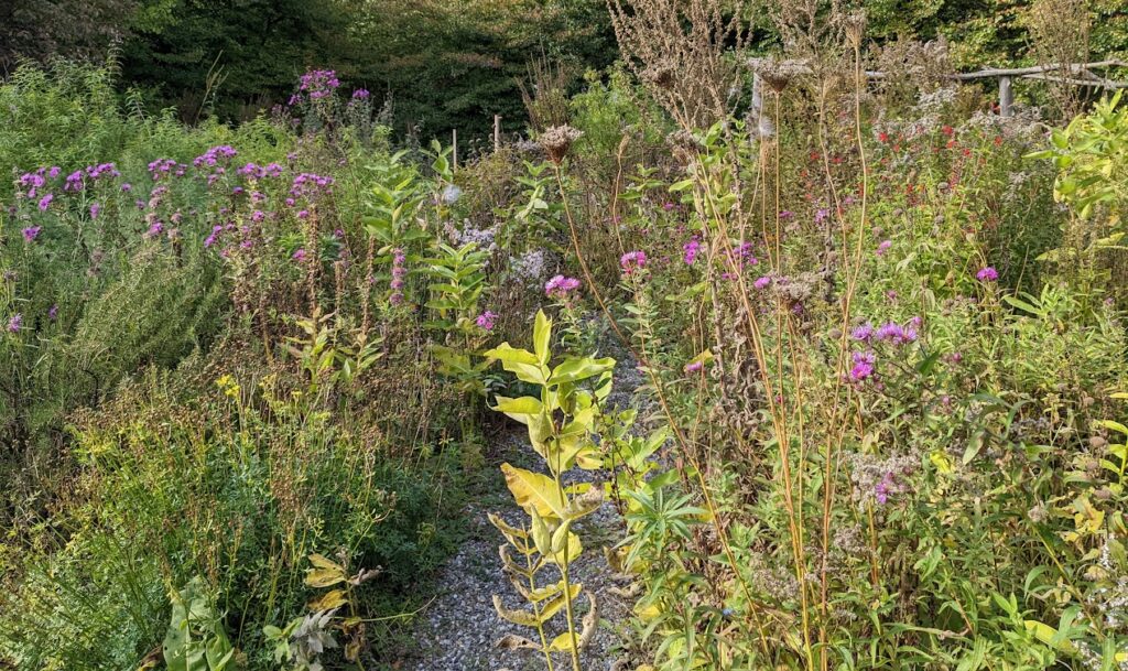 pxl 20221002 194104105