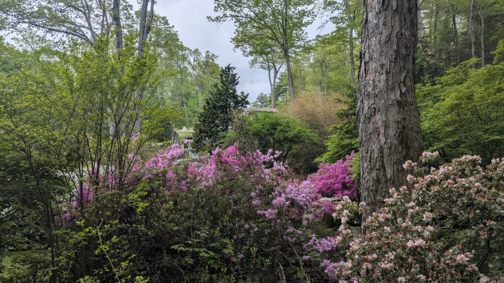 pxl 20250515 214222846