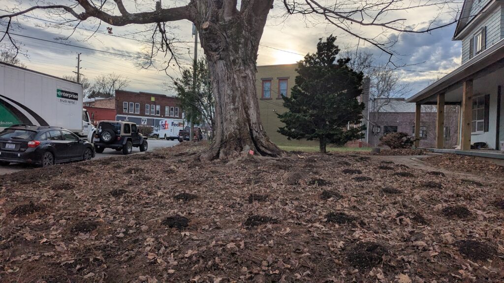 pxl 20251120 211101171