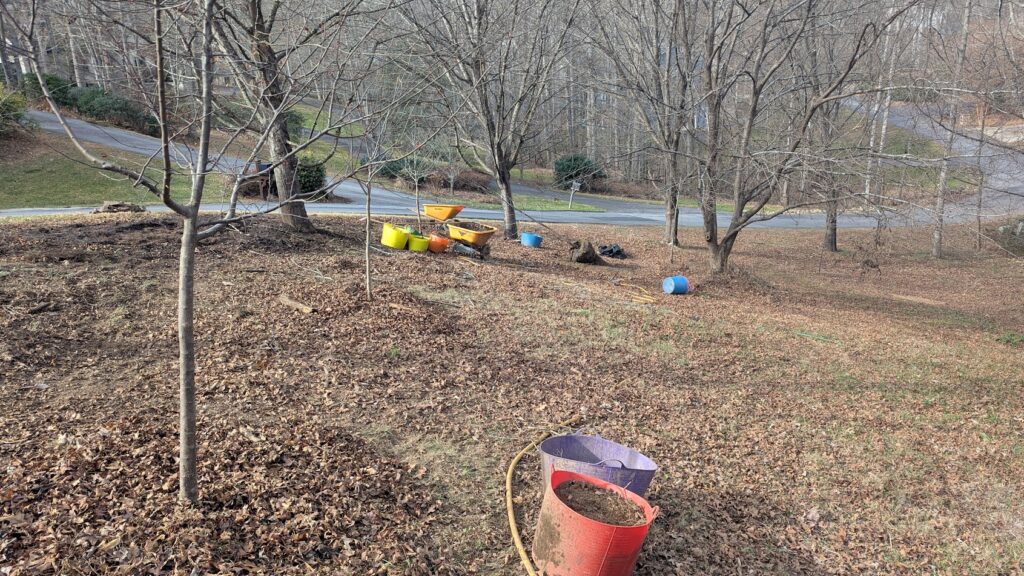 pxl 20251201 181023676 (1)