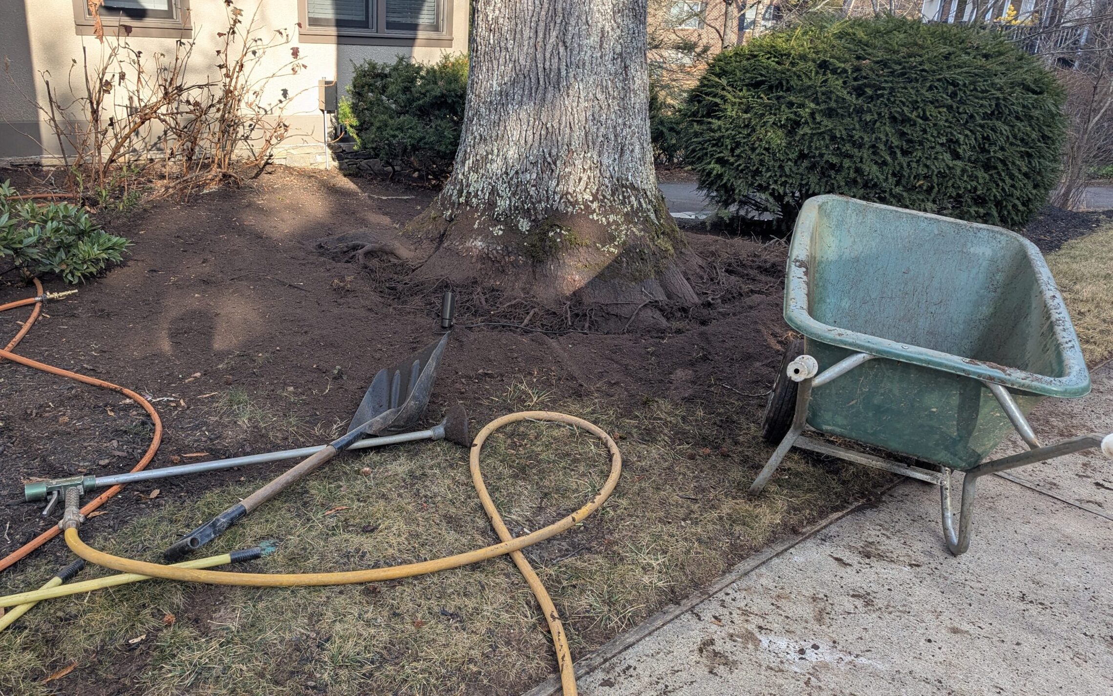 pxl 20260107 145651577